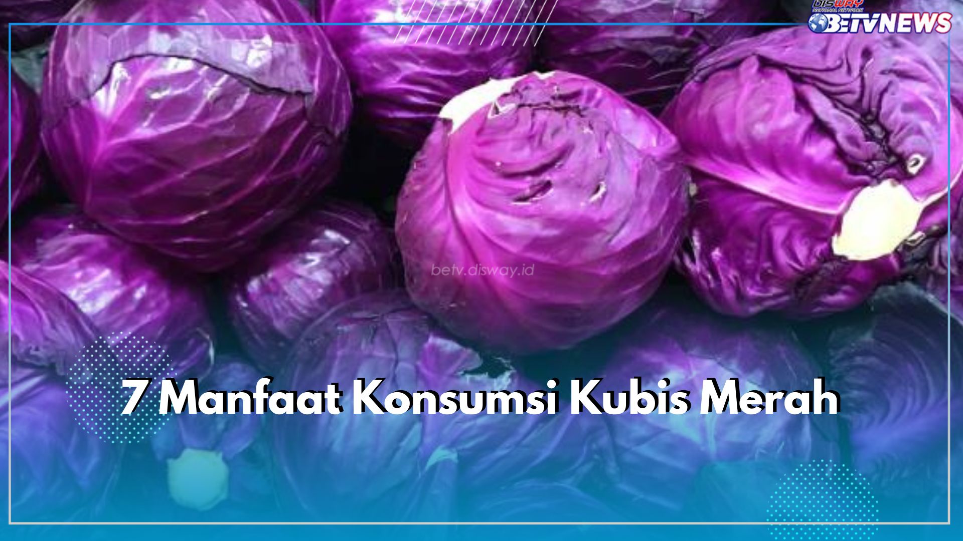 7 Manfaat Konsumsi Kubis Merah, Mampu Meningkatkan Kesehatan Jantung hingga Pengelihatan