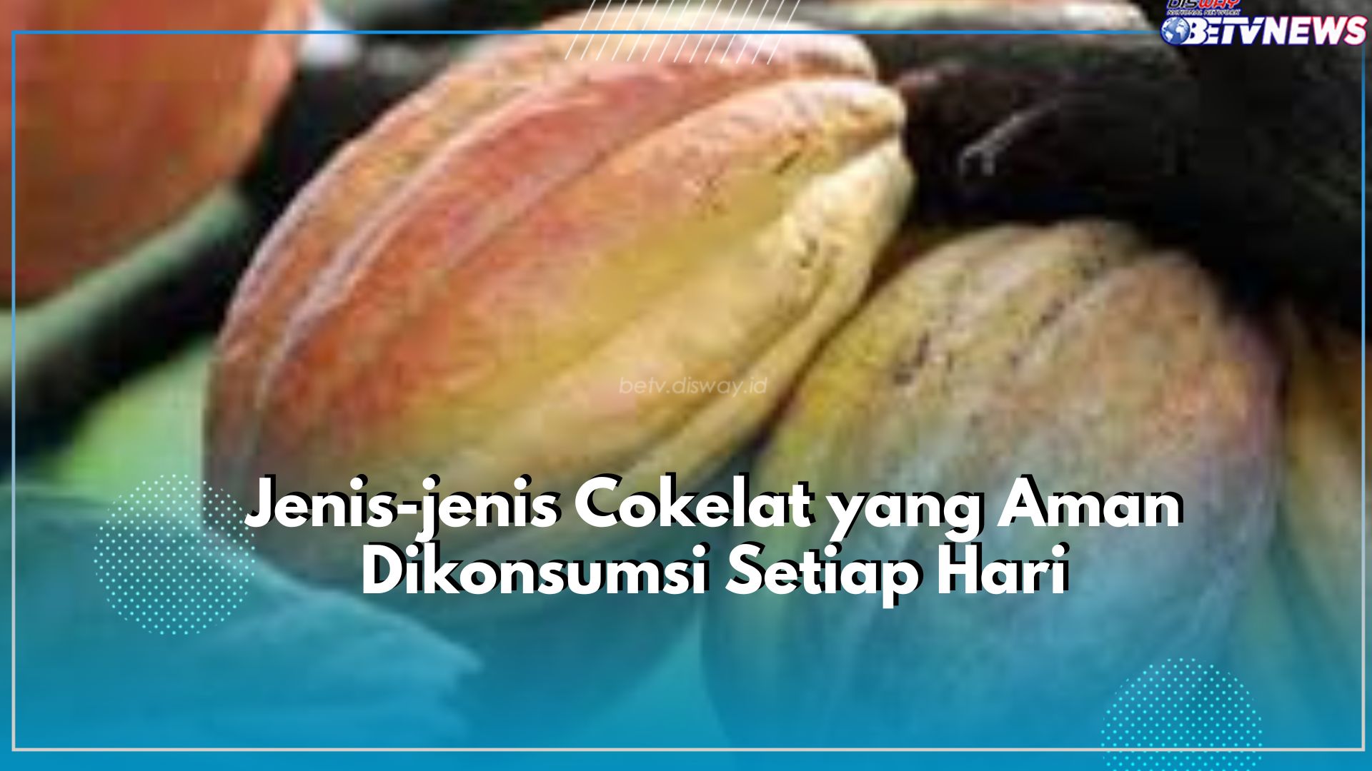 Ini Dia Jenis Cokelat yang Aman Dikonsumsi dan Cocok Dijadikan Camilan Harian, Nomor 3 Paling Mudah Ditemukan!