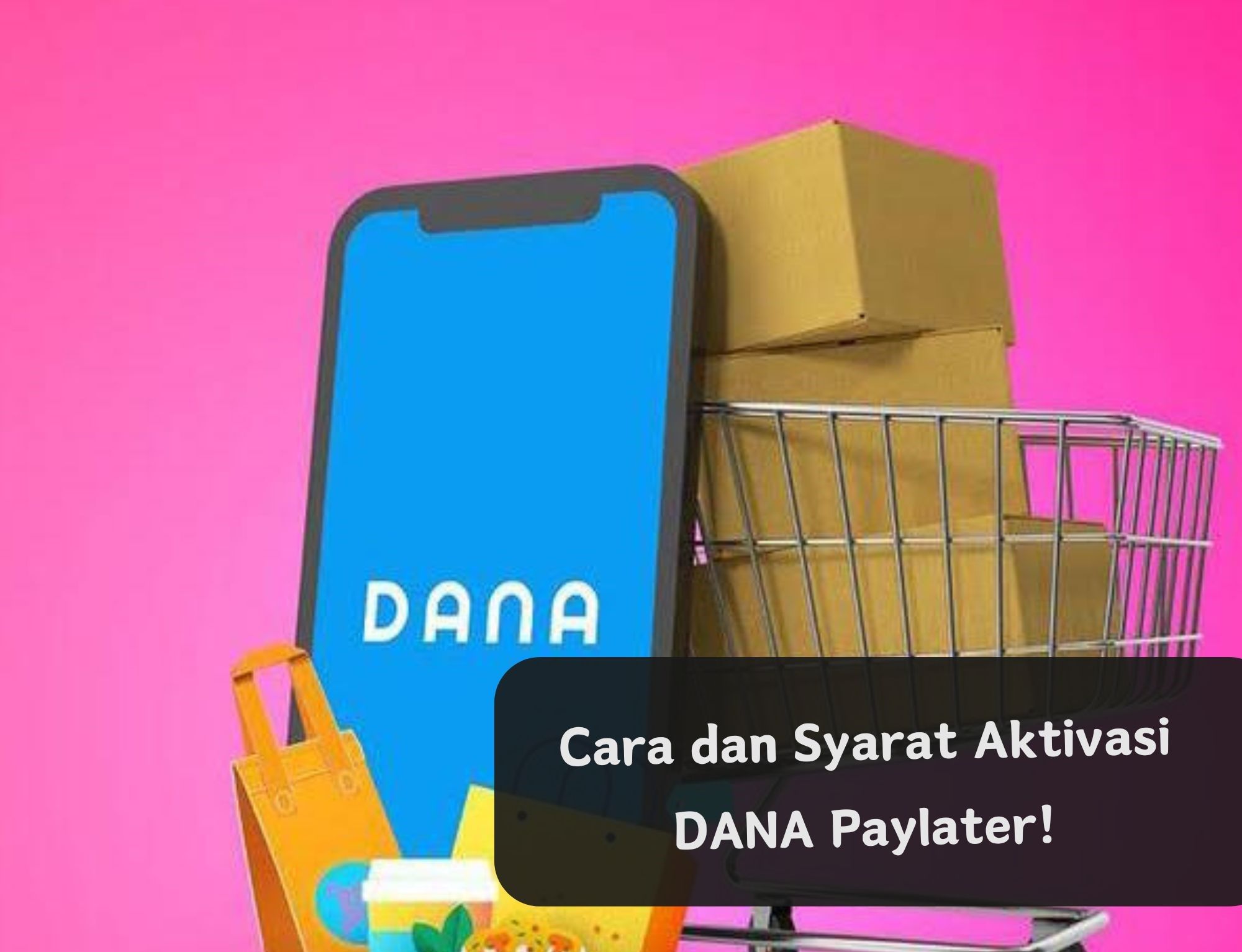 Cek Cara dan Syarat Aktivasi DANA Paylater di Sini, Dapat Ajukan Pinjaman Saldo Limit hingga Rp10 Juta