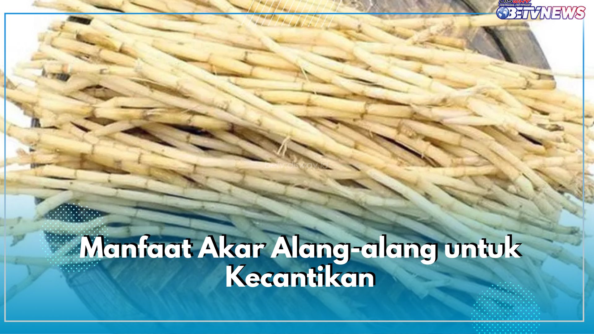 Melembabkan Serta Mencerahkan, Cek Ragam Manfaat Akar Alang-alang untuk Kecantikan