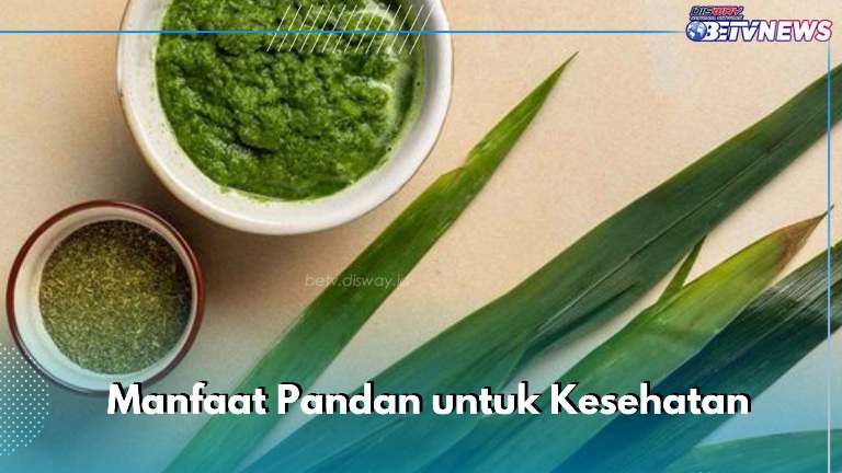 Dapat Menetralkan Racun, Temukan Manfaat Daun Pandan Lainnya di Sini