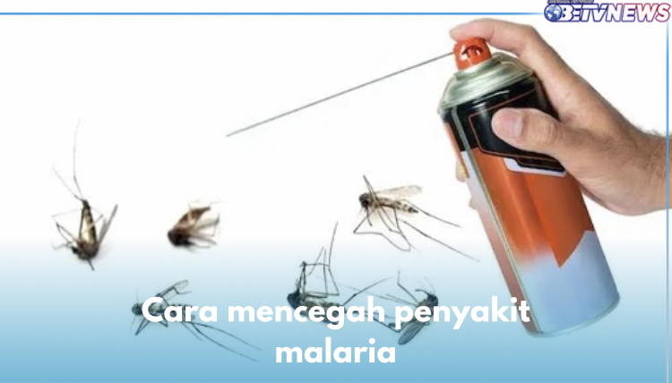 Gunakan Obat Nyamuk, Ini 6 Cara Paling Jitu Cegah Penyakit Malaria