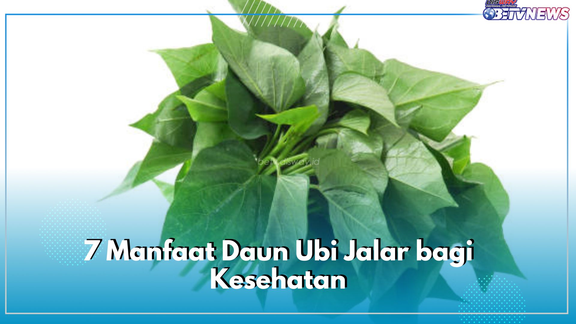 Ini 7 Manfaat Daun Ubi Jalar bagi Kesehatan dan Kandungan Nutrisi yang Terkandng di Dalamnya, Cek Disini!