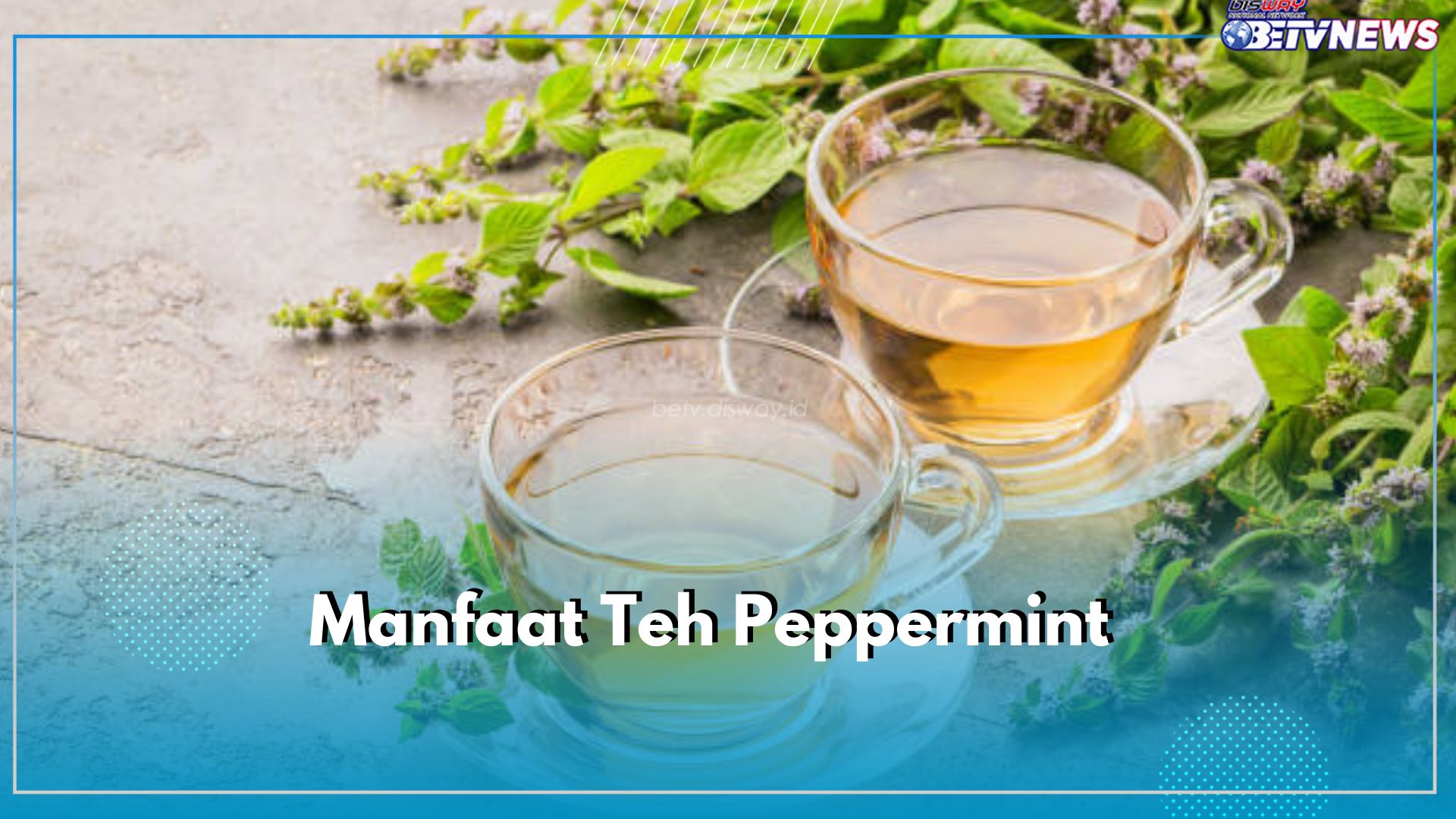 Sakit Kepala hingga Migran? Teh Peppertmint Bantu Redakan, Cek Manfaatnya di Sini