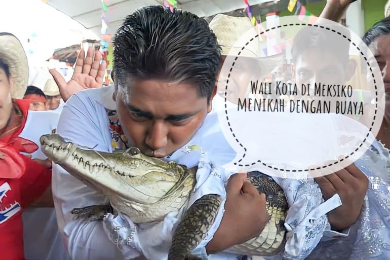 Tradisi Unik Pernikahan di Meksiko, Wali Kota Menikah Dengan Buaya, Ternyata Punya Makna Baik