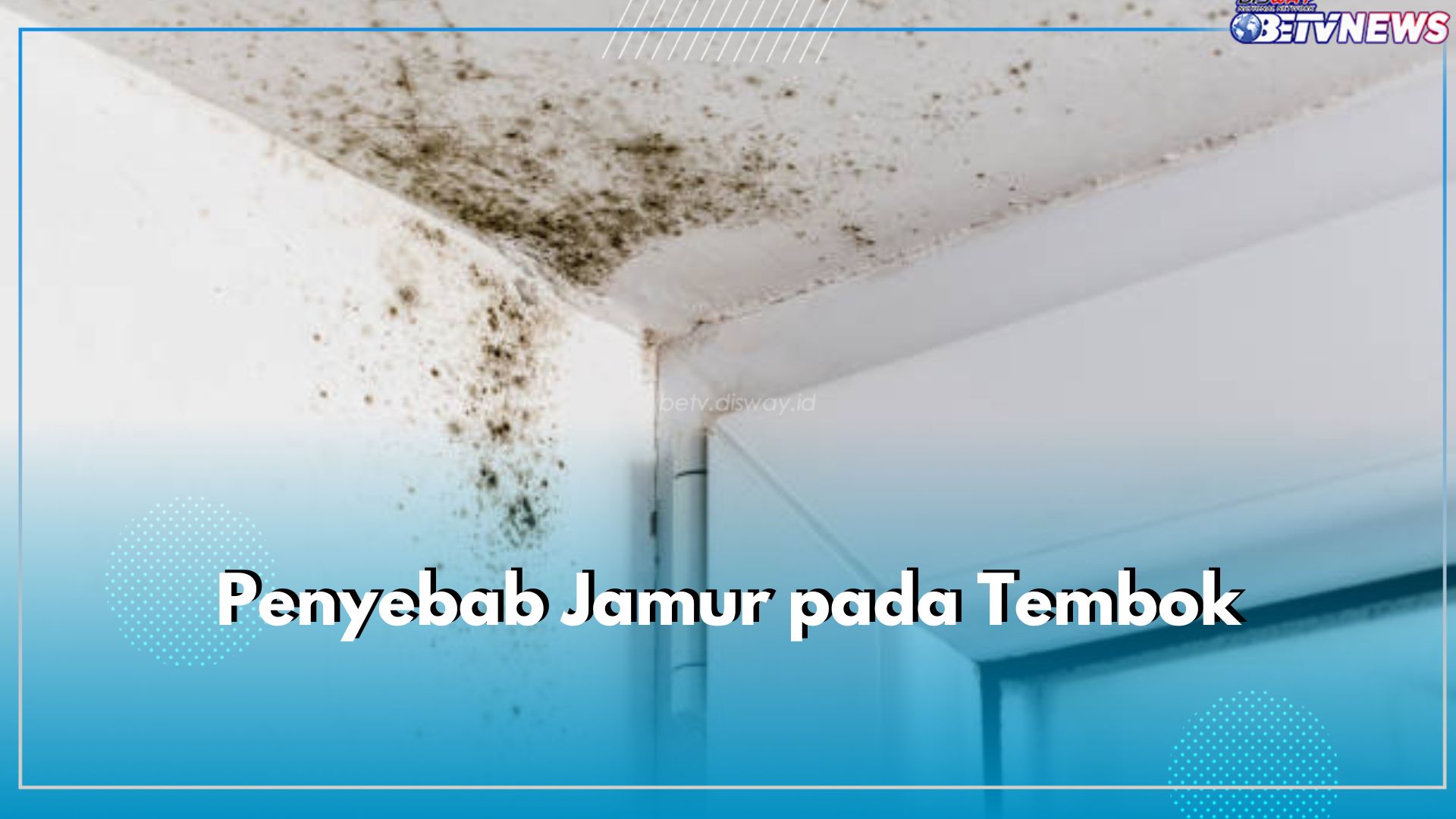 6 Penyebab Jamur Pada Tembok, Salah Satunya Kelembapan Tinggi