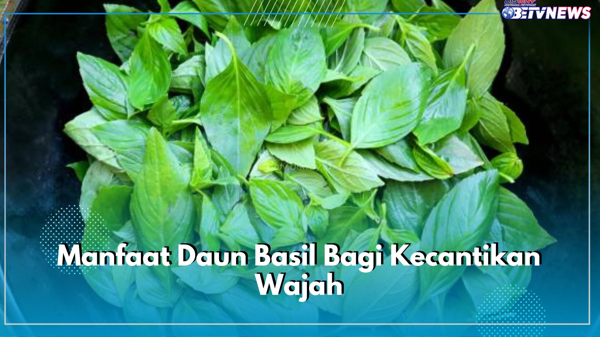 Jarang Diketahui! Ini Manfaat Mengonsumsi Daun Basil Bagi Kecantikan Wajah, Apa Saja?