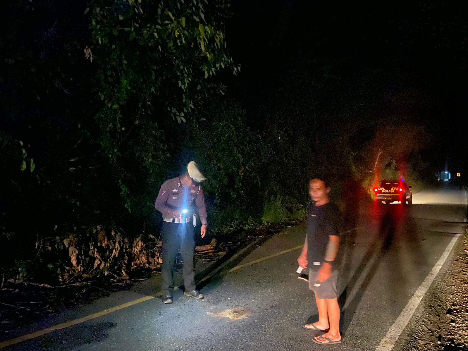 Minim Penerangan, Sepeda Motor Tabrak Pohon Tumbang di Seluma, 1 Tewas