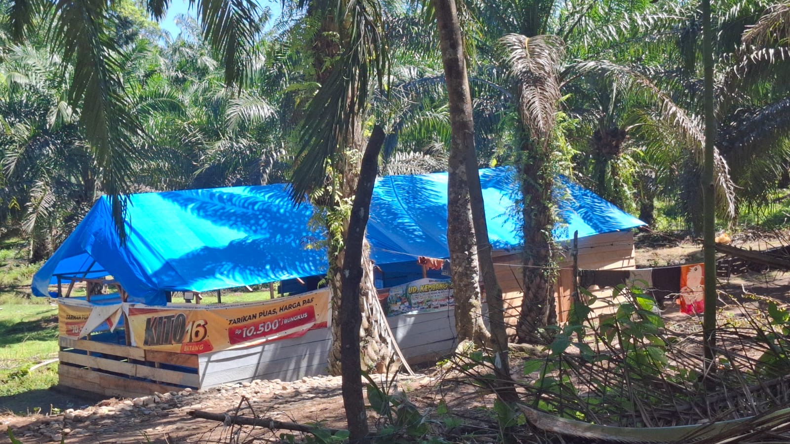 Diduga Sediakan PSK dan Tuak, Warem di Tebat Sibun Akan Ditertibkan