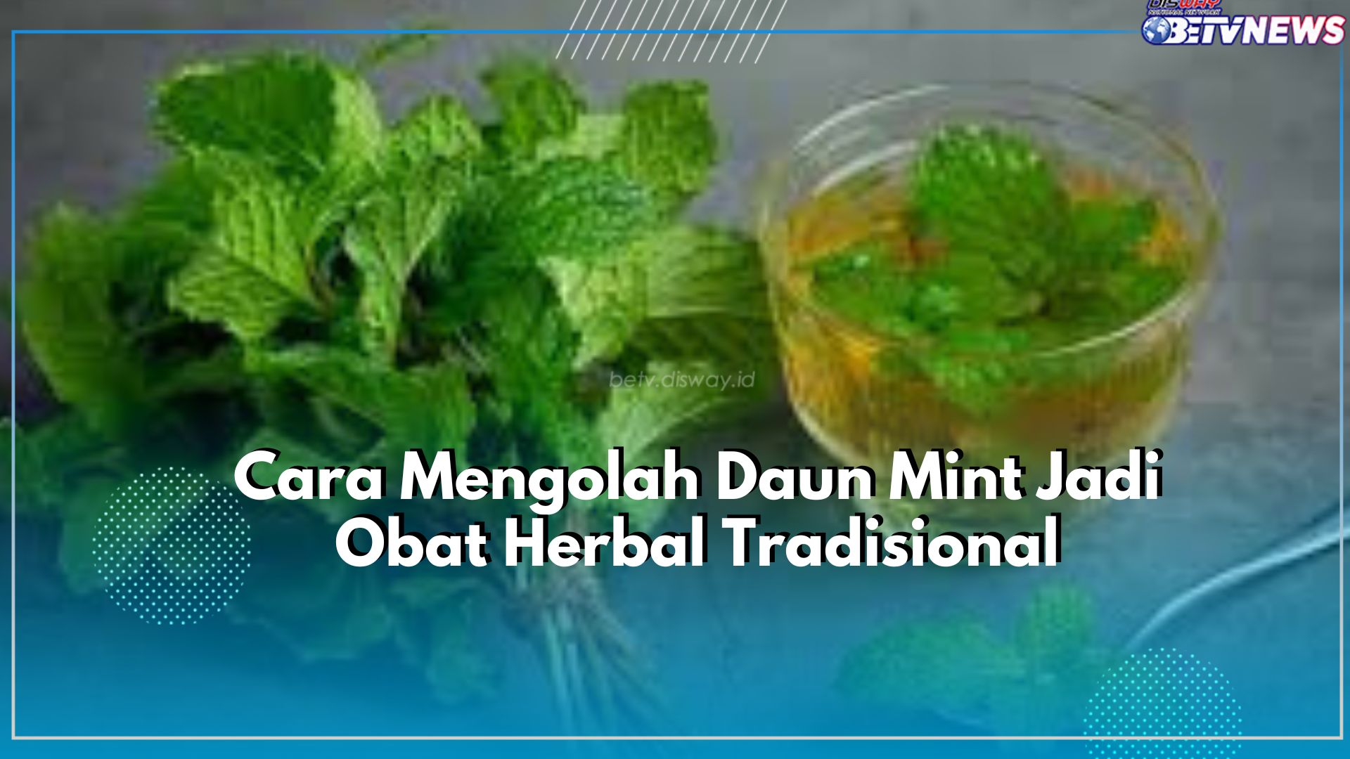 Gampang Banget! Ini Cara Olah Daun Mint Jadi Obat Herbal Tradisional, Salah Satunya Direbus