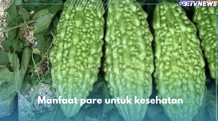 10 Manfaat Pare untuk Kesehatan, Nomor 1 Kendalikan Gula Darah