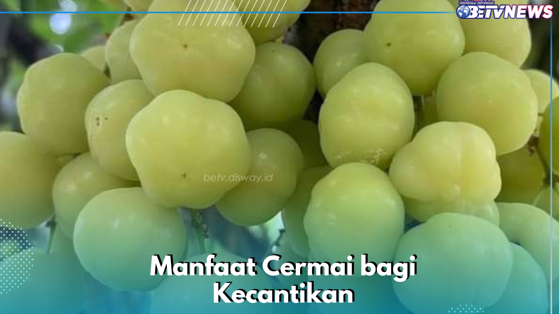 Manfaat Lain Buah Cermai bagi Kecantikan, Ampuh Mencegah Jerawat