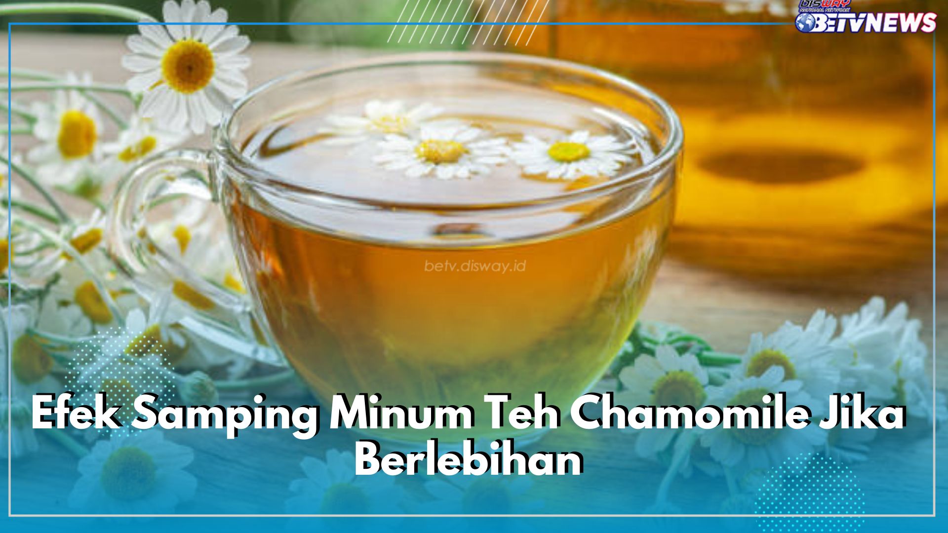 Batasi Jumlah Asupannya Per Hari, Inilah 5 Efek Samping Minum Teh Chamomile Jika Berlebihan