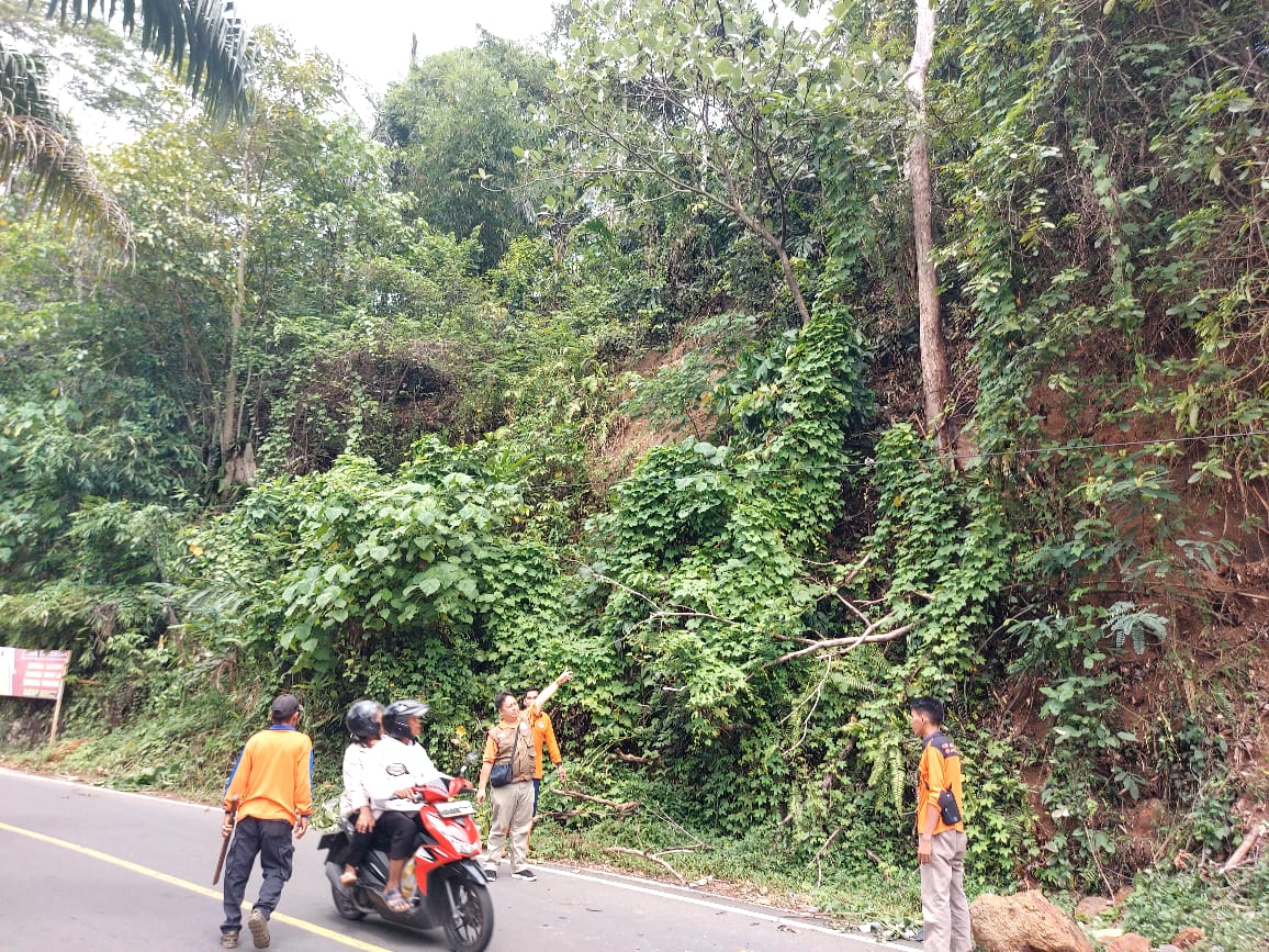 Longsor Tutupi Setengah Badan Jalan Nasional Lintas Bengkulu-Kepahiang 