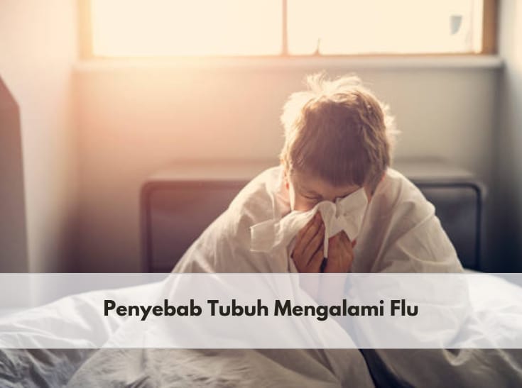 Kamu Perlu Tahu, Inilah Penyebab Tubuh Mengalami Flu dan Gejala yang Sering Terjadi