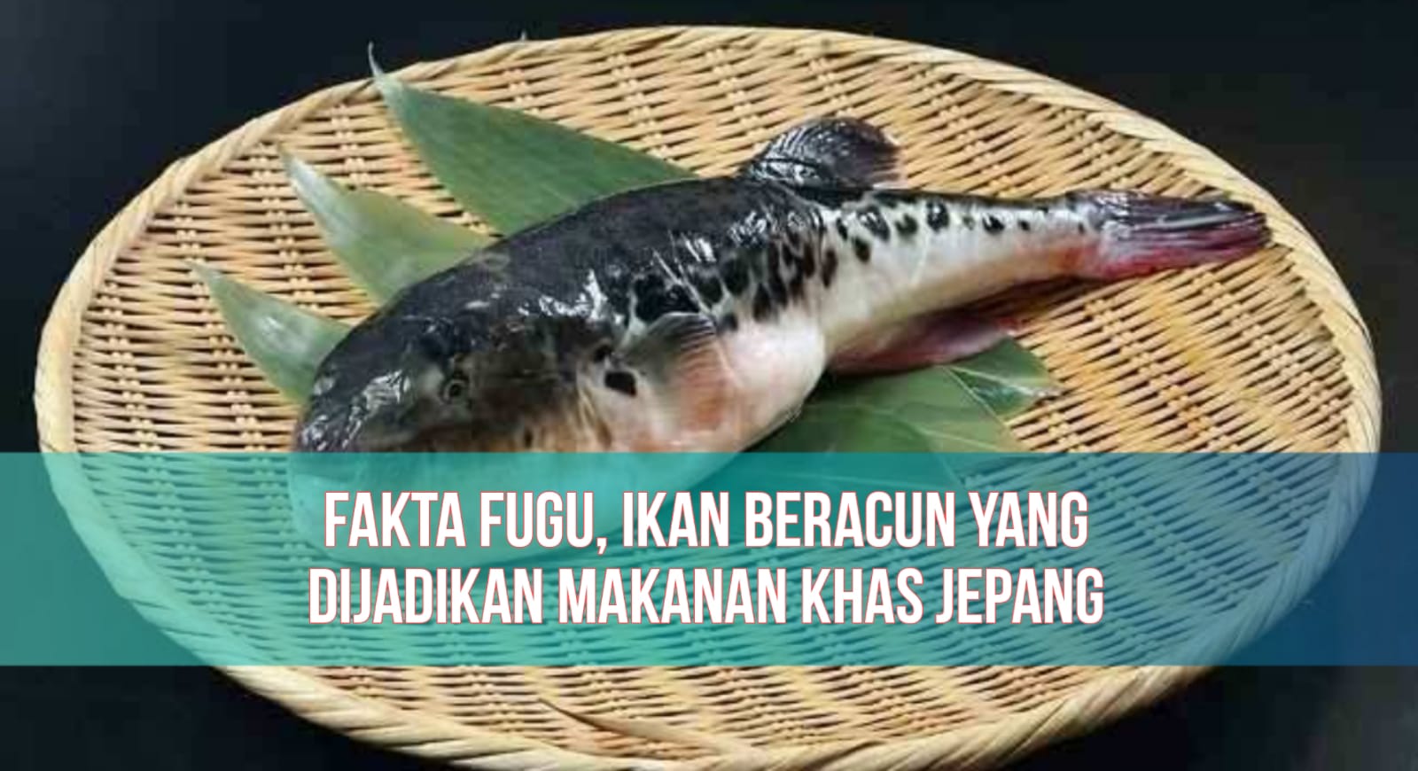 Fakta Fugu, Ikan Beracun yang Dijadikan Makanan Mewah Khas Jepang