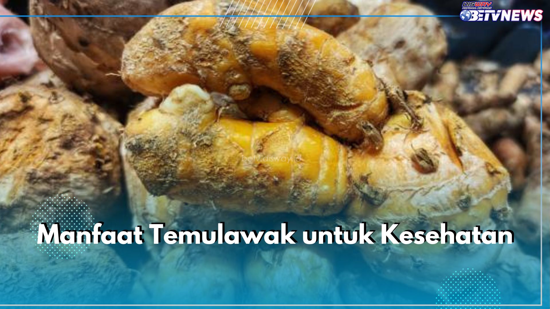 Kenali 6 Manfaat Temulawak untuk Kesehatan, Bisa Dukung Sistem Imun hingga Jaga Kesehatan Kulit