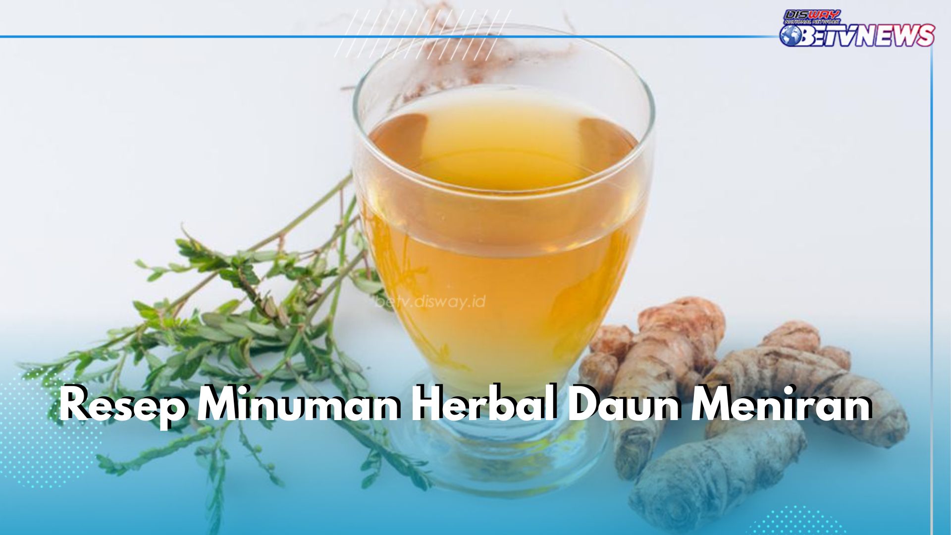 4 Resep Minuman Herbal Daun Meniran, Yuk Buat dan Klaim Khasiatnya Sekarang!