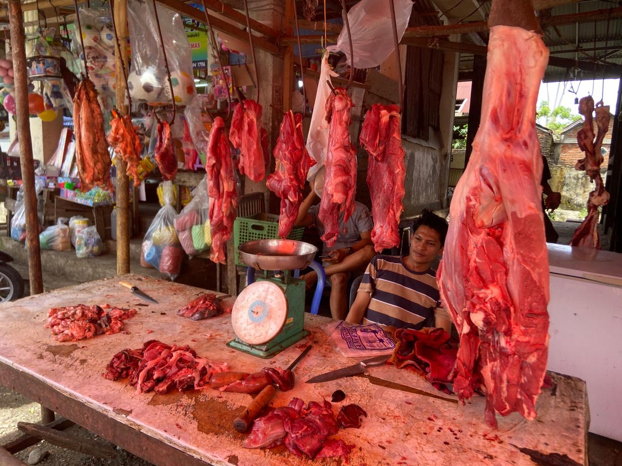Pasca Iduladha, Harga Daging Sapi di Bengkulu Selatan Diprediksi Turun Menjadi Rp130 Ribu