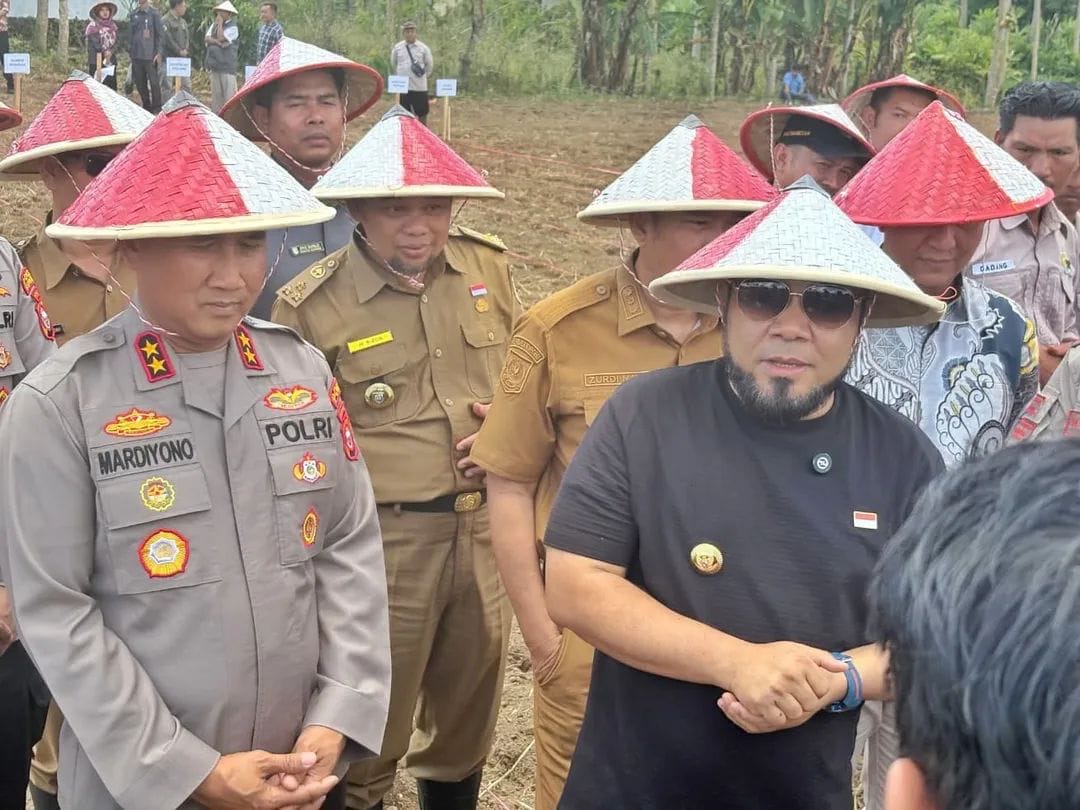 Program Pembenihan Jagung Merah Putih Resmi Diluncurkan Gubernur Helmi Hasan 