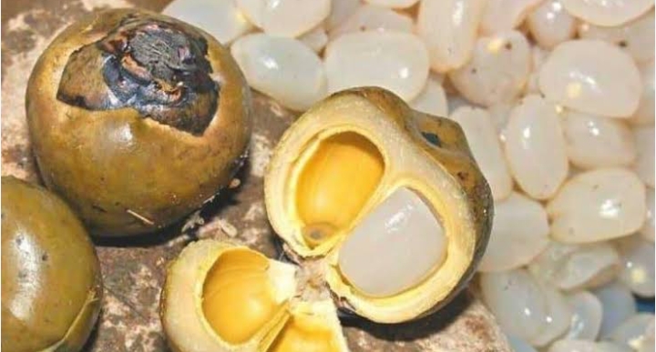 Waspadai! Ini 3 Efek Samping Berbahaya dari Mengonsumsi Buah Lontar Secara Berlebihan