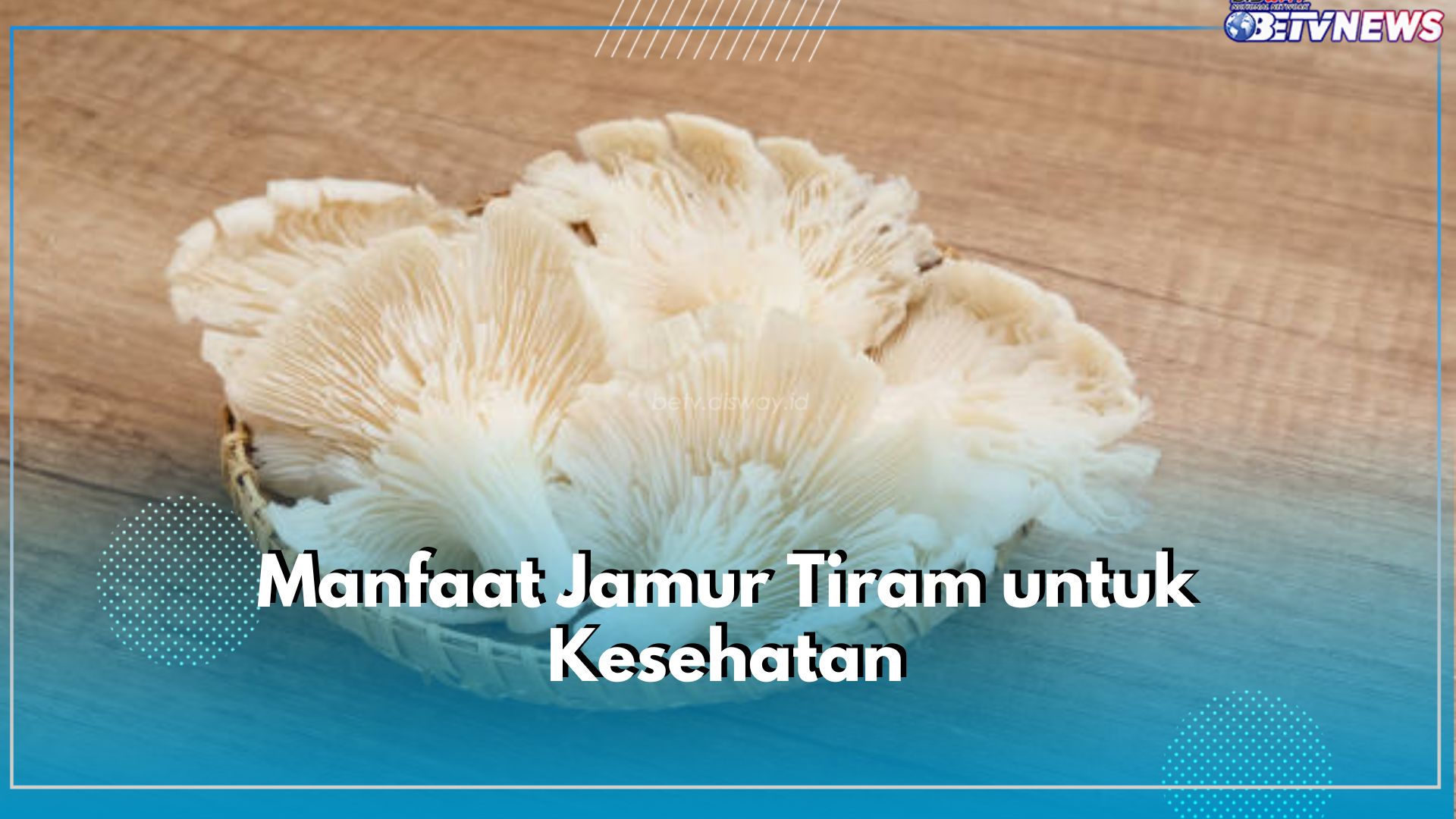 Bukan Cuma Lezat, Jamur Tiram Tawarkan 6 Manfaat Ini untuk Kesehatan Tubuh
