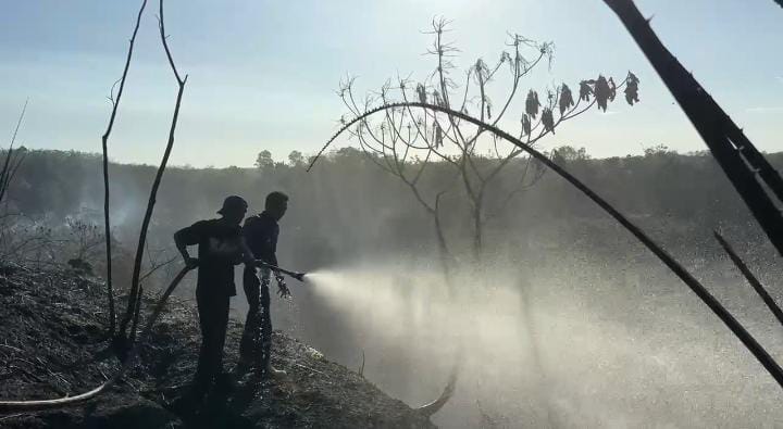 Lahan Kelapa Sawit Seluas 3 Hektar di Bengkulu Utara Hangus Terbakar 