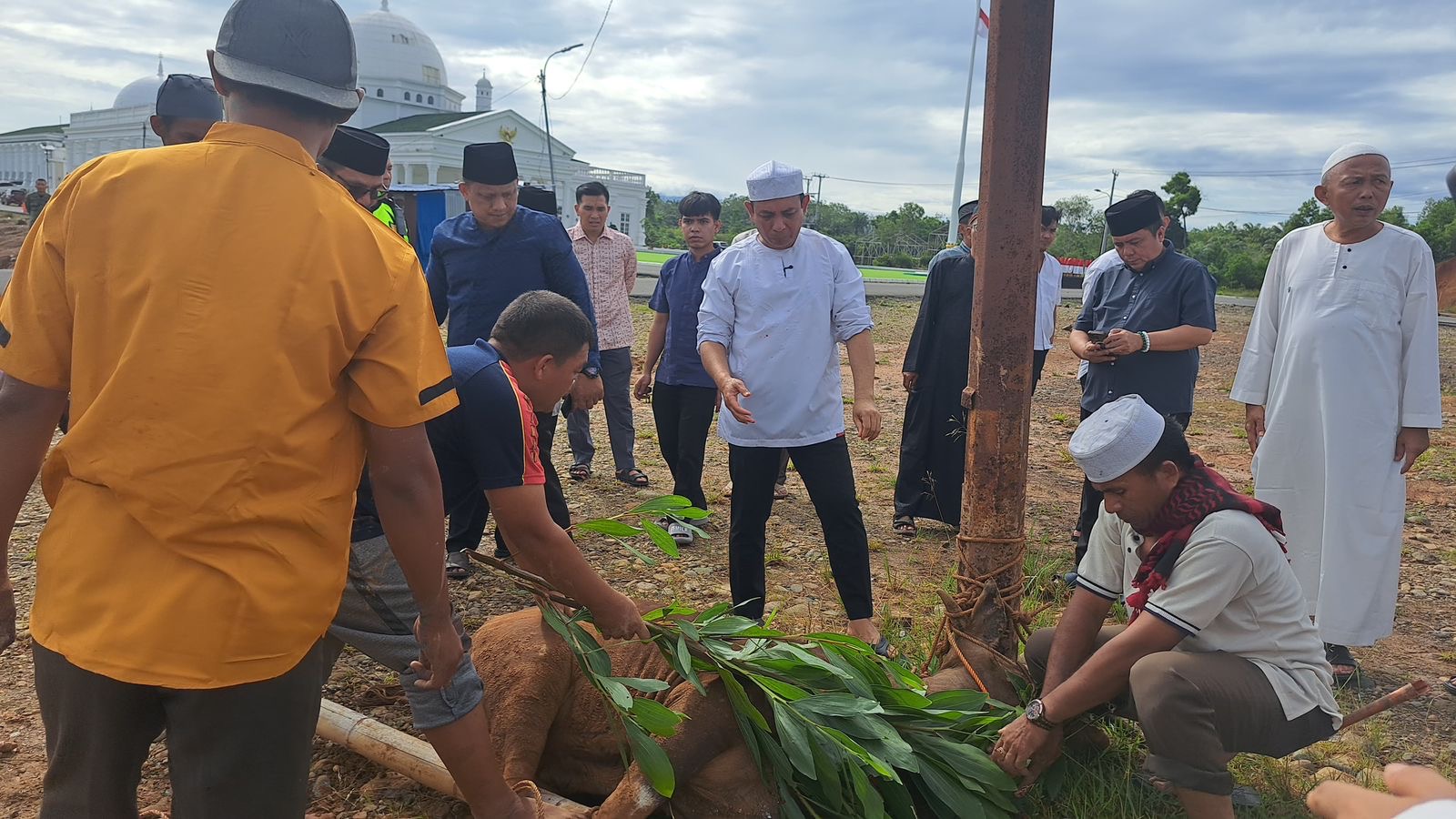 Semangat Kurban, Walikota Bengkulu: Mari Sembelih Egois dalam Diri
