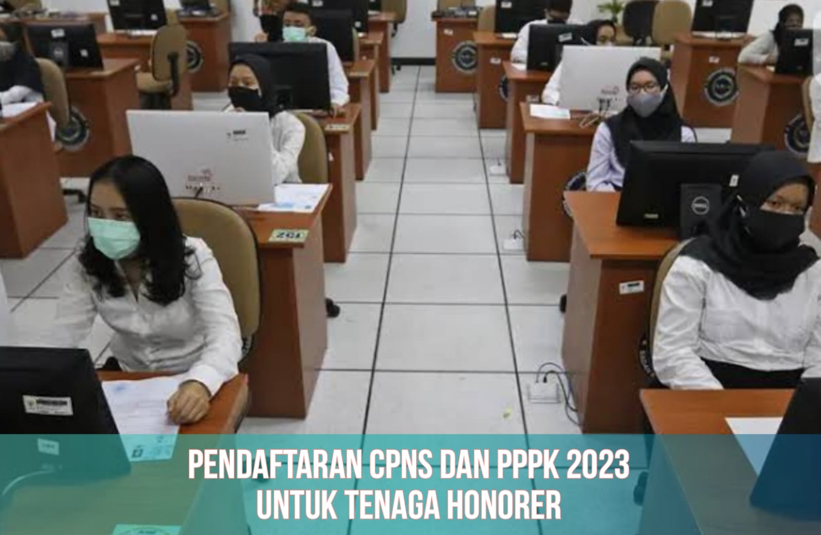 Pendaftaran CPNS dan PPPK 2023, 80 Persen Formasi untuk Tenaga Honorer, Simak Info Terbarunya!