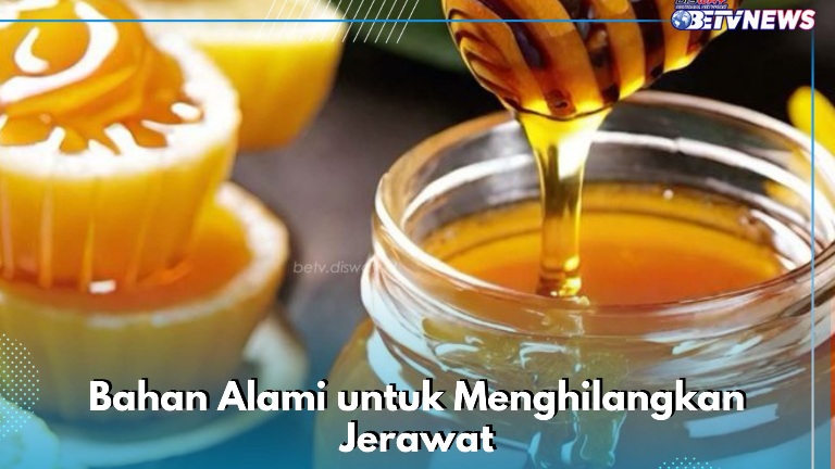 Jerawat Langsung Hilang, Cukup Siapkan Bahan Alami Ini! Dijamin Kulit Wajah Makin Sehat