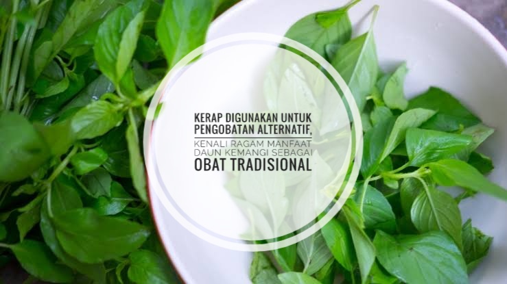 Kerap Digunakan untuk Pengobatan Alternatif, Kenali Ragam Manfaat Daun Kemangi Sebagai Obat Tradisional