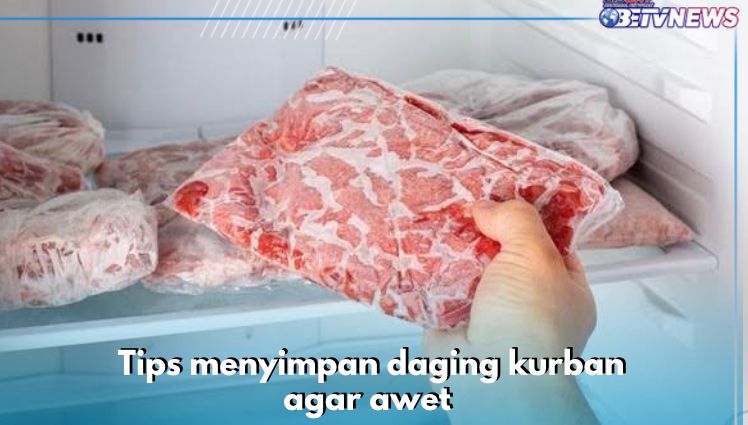 6 Tips Menyimpan Daging Kurban agar Awet dan Tidak Busuk, Simpan di Dalam Freezer Salah Satunya