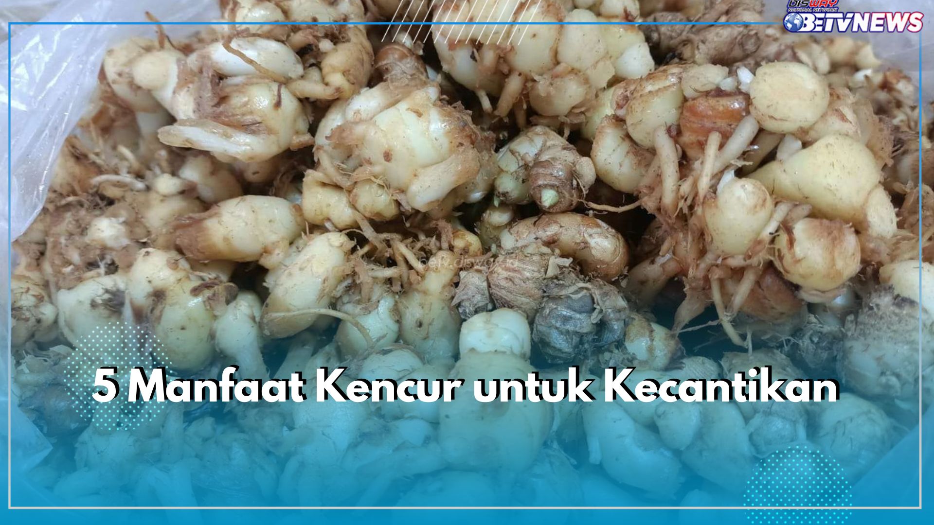 5 Manfaat Kencur untuk Kecantikan yang Sayang Banget Dilewatkan