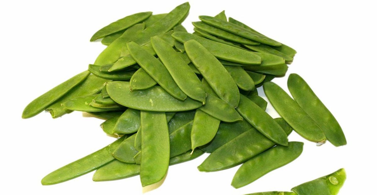 8 Manfaat Kacang Kapri untuk Kesehatan, Cek Khasiat Baiknya Buat Tubuh di Sini