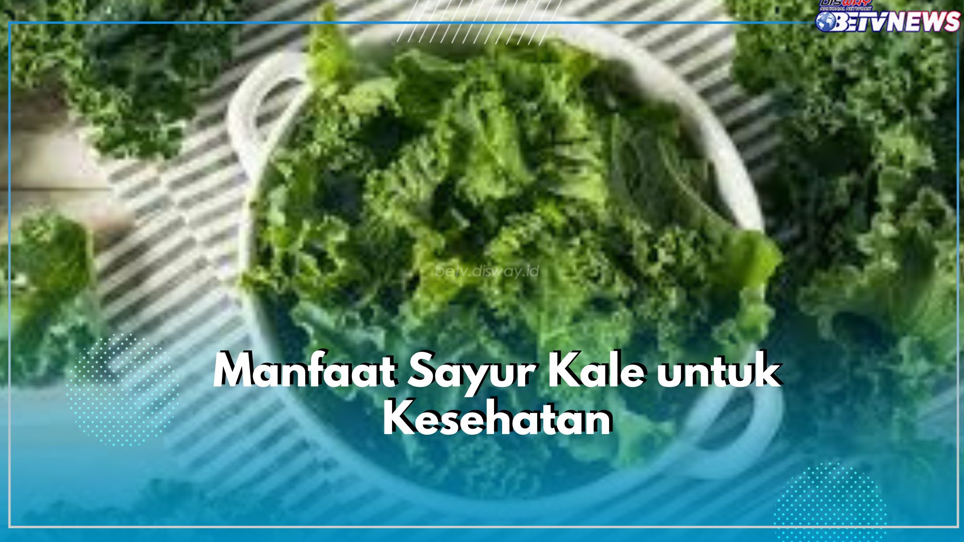 Dikenal dengan Julukan Ratu Sayur, Inilah 5 Manfaat Tersembunyi Sayur Kale untuk Kesehatan