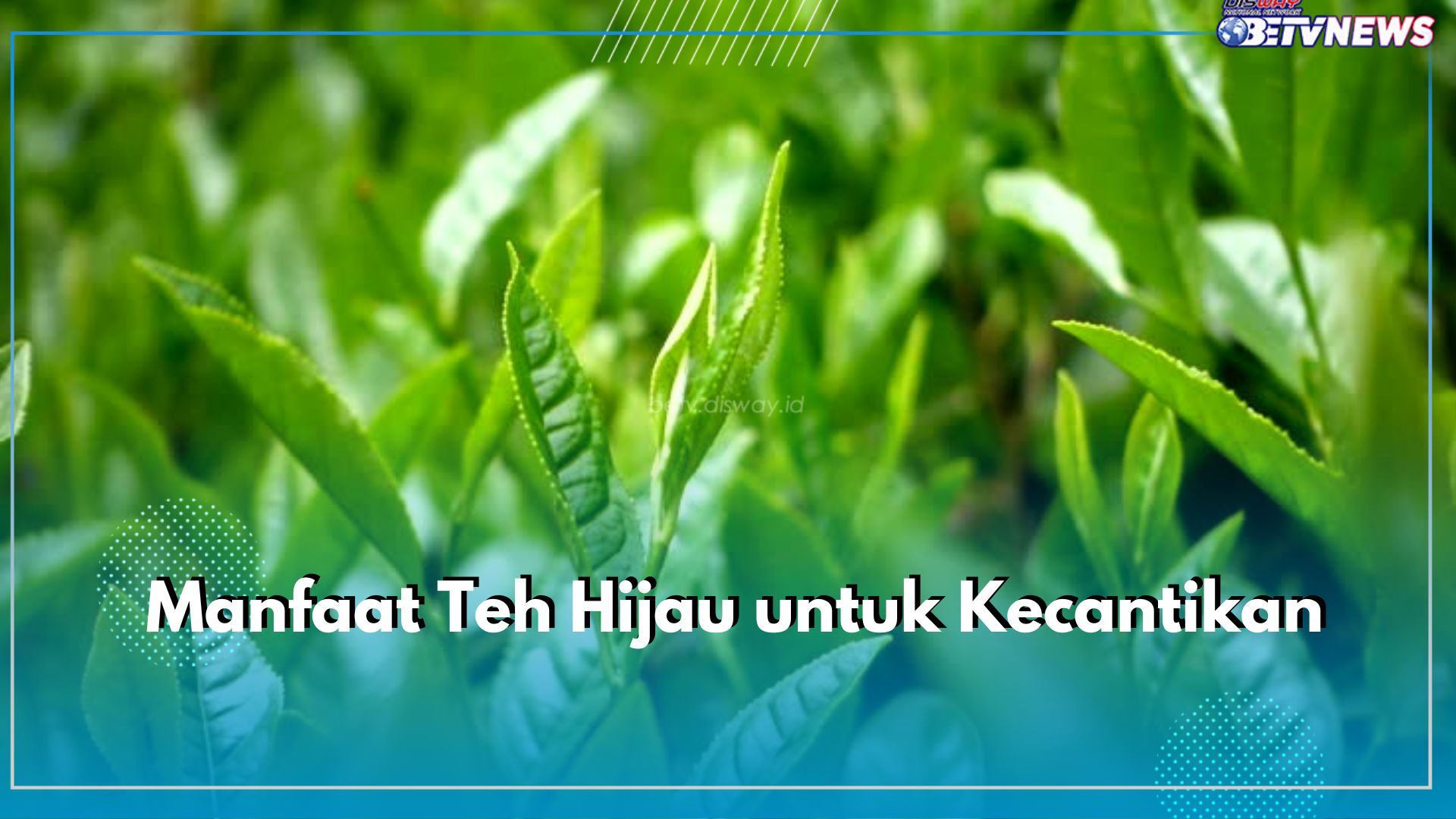 5 Manfaat Tersembunyi Teh Hijau untuk Kecantikan, Mampu Atasi Mata Panda hingga Mencerahkan Kulit