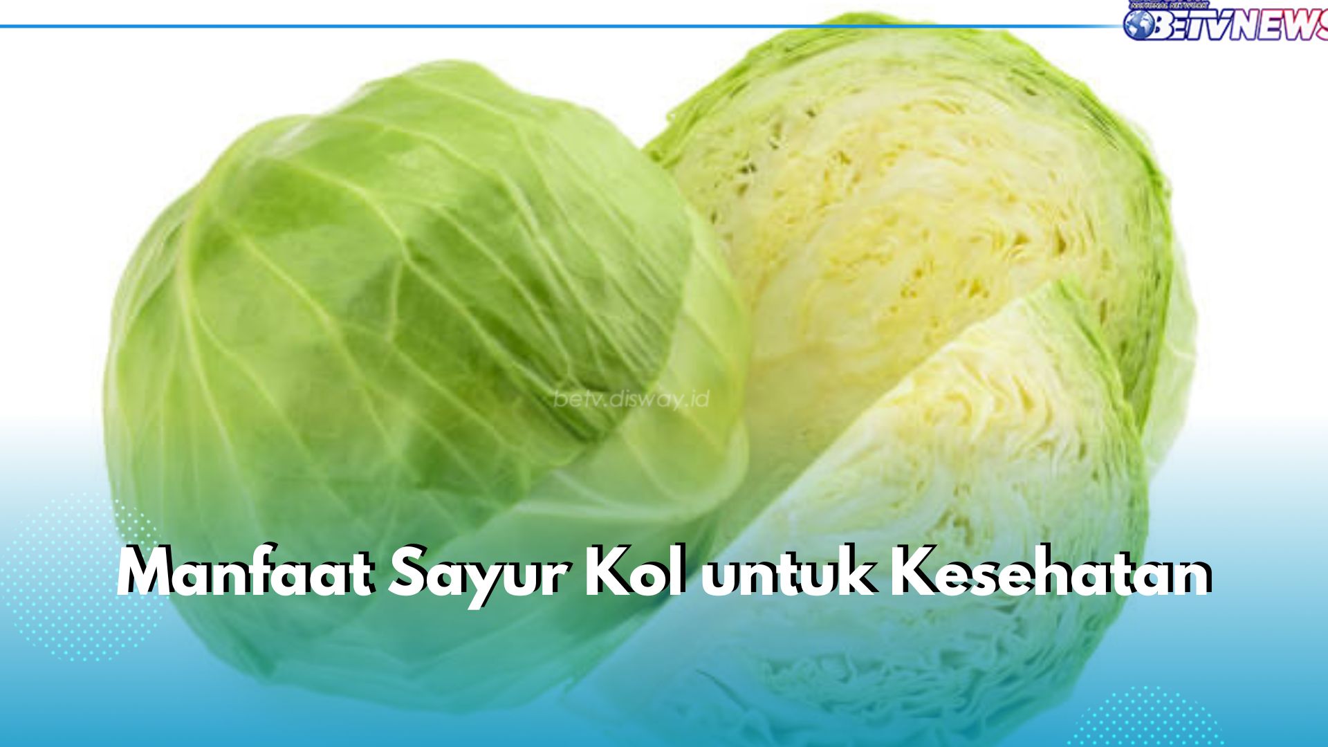 Ampuh Optimalkan Kekebalan Tubuh, Ini 5 Manfaat Sayur Kol untuk Kesehatan yang Perlu Kamu Ketahui