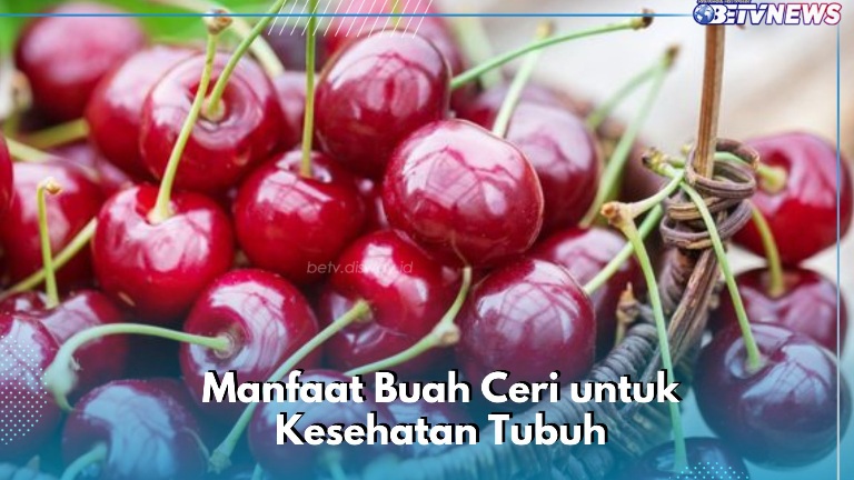 Buah Ceri Dapat Mengurangi Stres Oksidatif, Cek di Sini Manfaat yang Perlu Diketahui