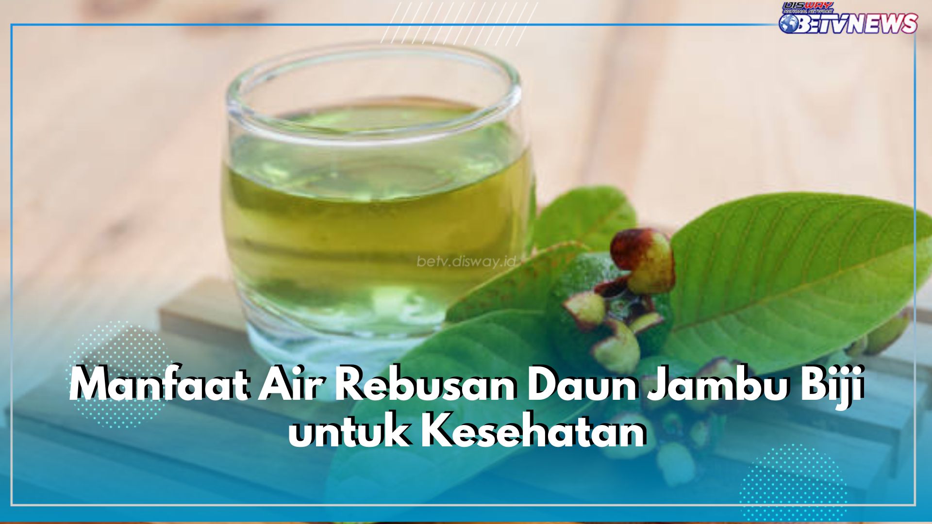 Air Rebusan Daun Jambu Biji Bisa Jadi Obat Herbal, Ini 6 Manfaat yang Ditawarkan