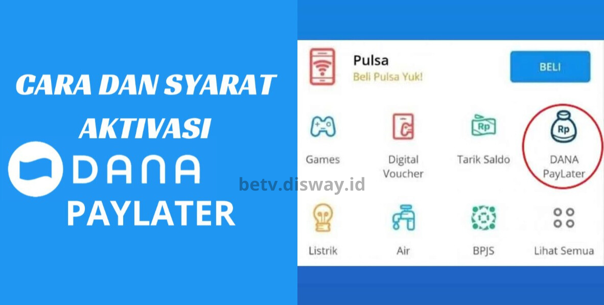 Ini Cara dan Syarat Aktivasi DANA PayLater 2024, Limit Pinjam Cair Rp500 Ribu Sampai Rp10 Juta, Cek Sekarang