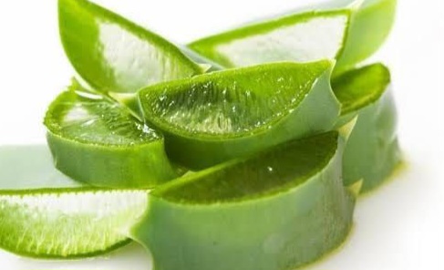 Cek Efek Samping Lidah Buaya Ini! Bisa Sebabkan Kulit Kering