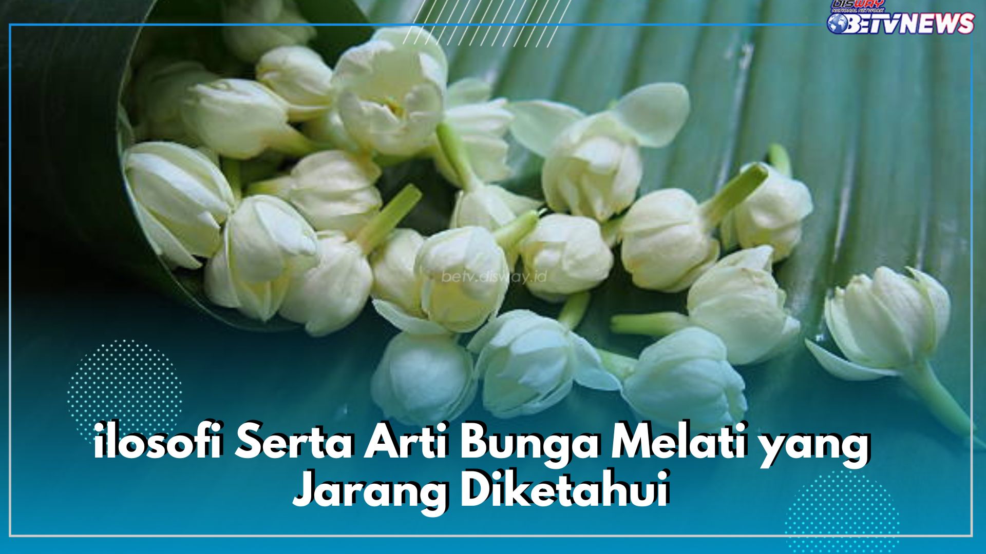 Kerap Dikaitkan dengan Hal Mistis, Ini Filosofi Serta Arti Bunga Melati yang Jarang Diketahui