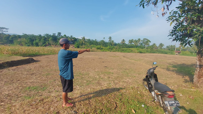 Irigasi Rusak, Ratusan Hektar Sawah di Bengkulu Tengah Kekeringan, Tak Bisa Ditanami Padi