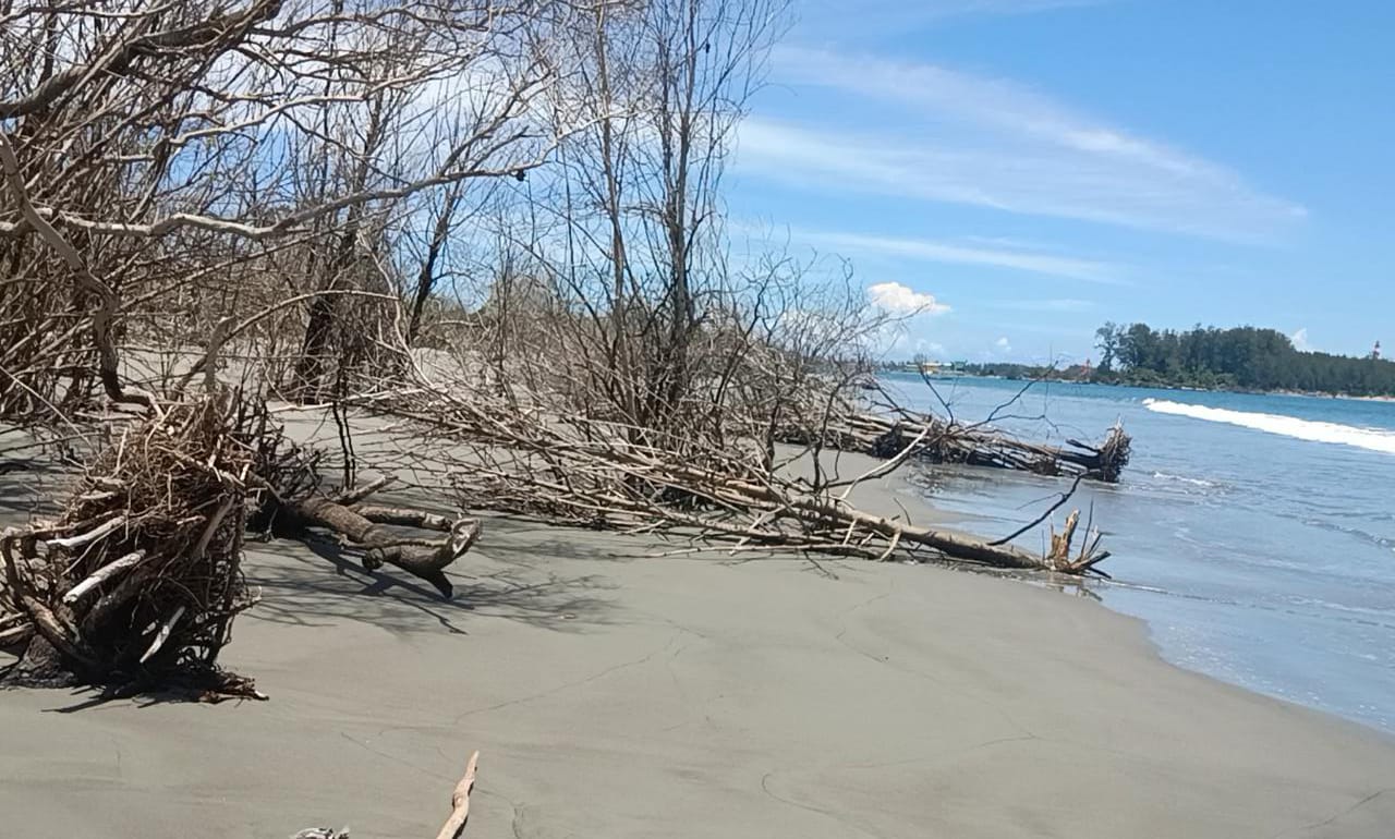 Tergerus Abrasi, Akses Menuju Lentera Merah Pulau Baai Bengkulu Hilang