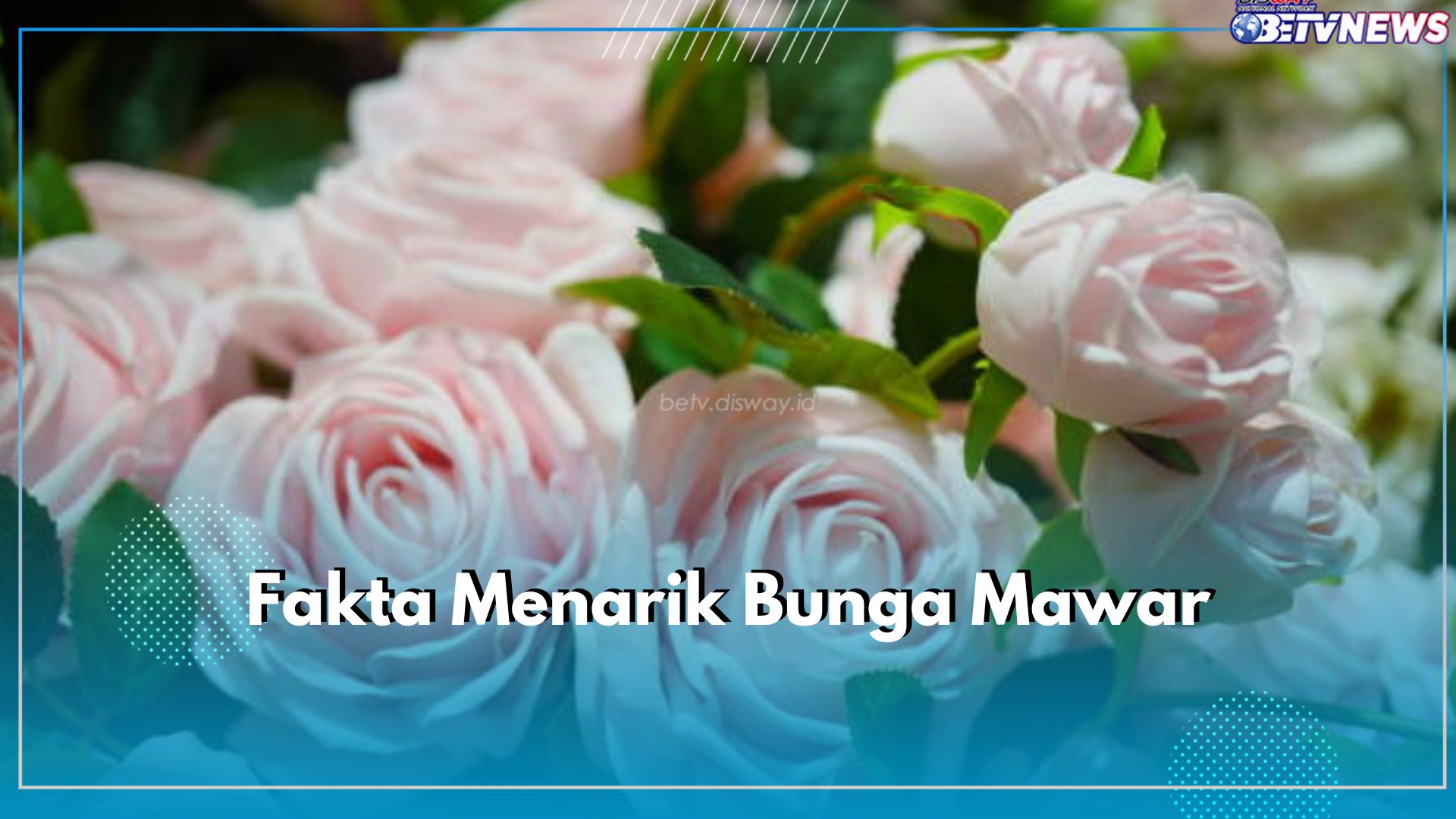 Tertua Berusia 1000 Tahun, Ini 11 Fakta Menarik Bunga Mawar yang Perlu Kamu Ketahui