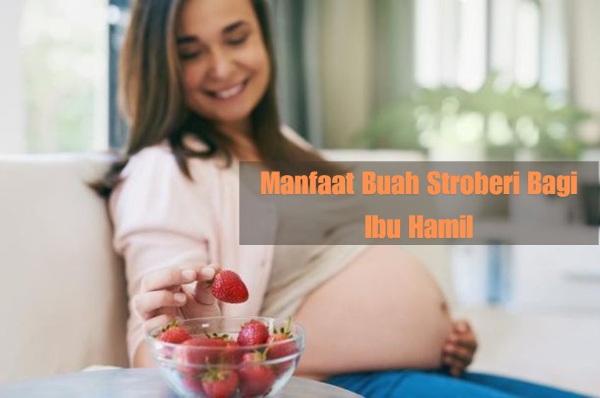 Sumber Asam Folat, Cek Manfaat Buah Stroberi Bagi Ibu Hamil, Diantaranya Mampu Cegah Cacat Pada Bayi