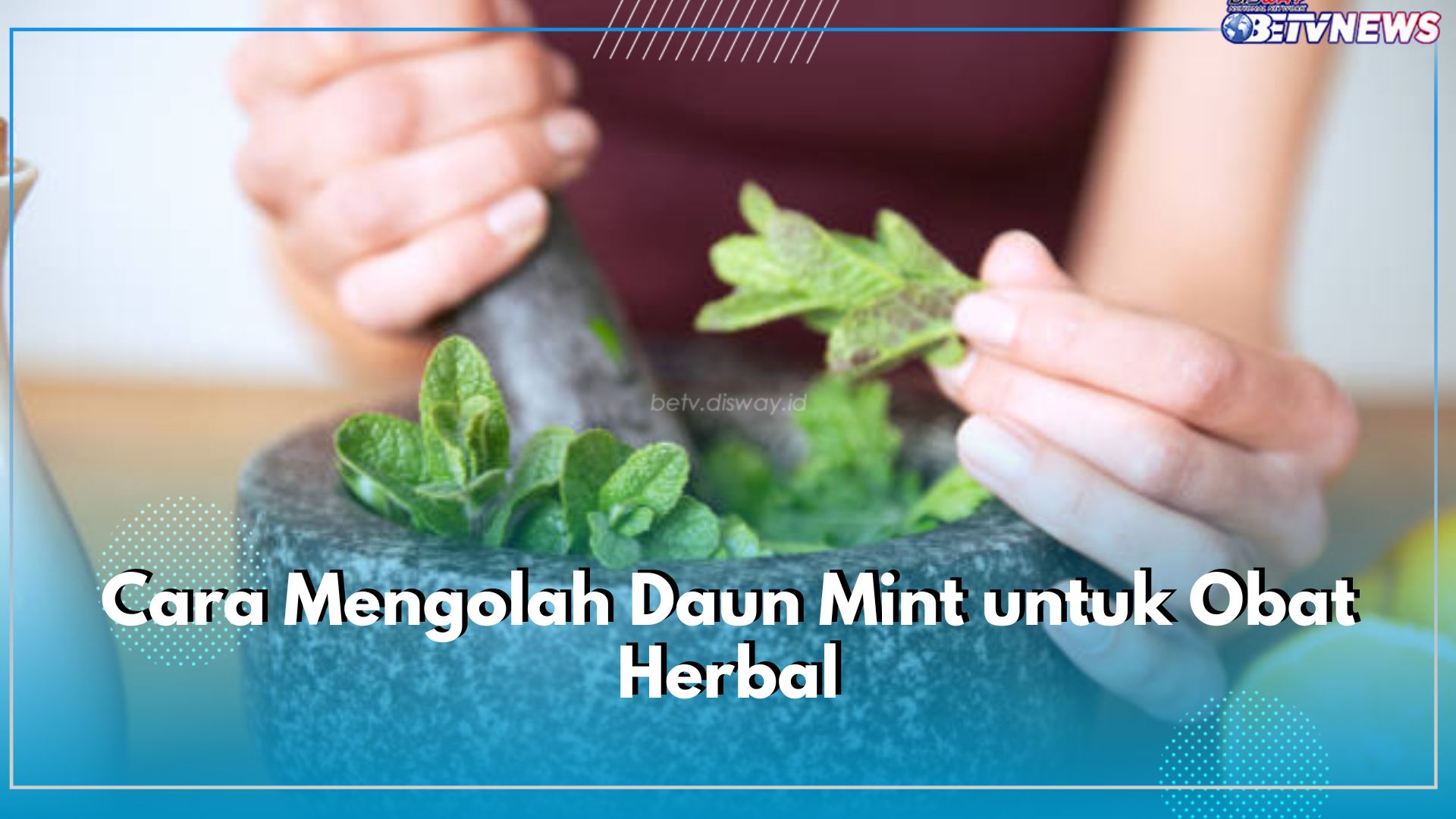 Simpel Banget! Gunakan 6 Cara Ini untuk Olah Daun Mint Jadi Obat Herbal