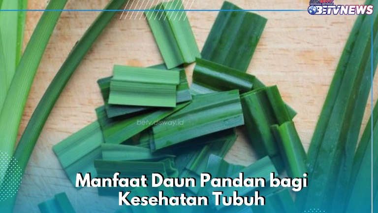 Daun Pandan Baik bagi Kesehatan, Cek Manfaatnya di Sini, Ampuh Menetralkan Racun