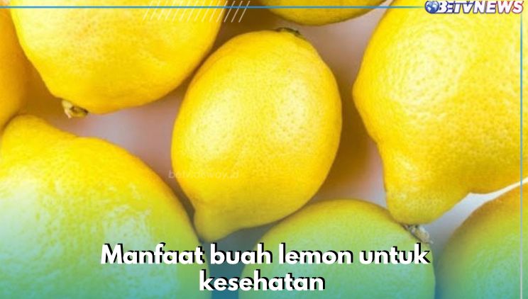 Badan Terasa Kurang Fit? Yuk Tingkatkan Imun dengan Buah Lemon yang Kaya Vitamin C