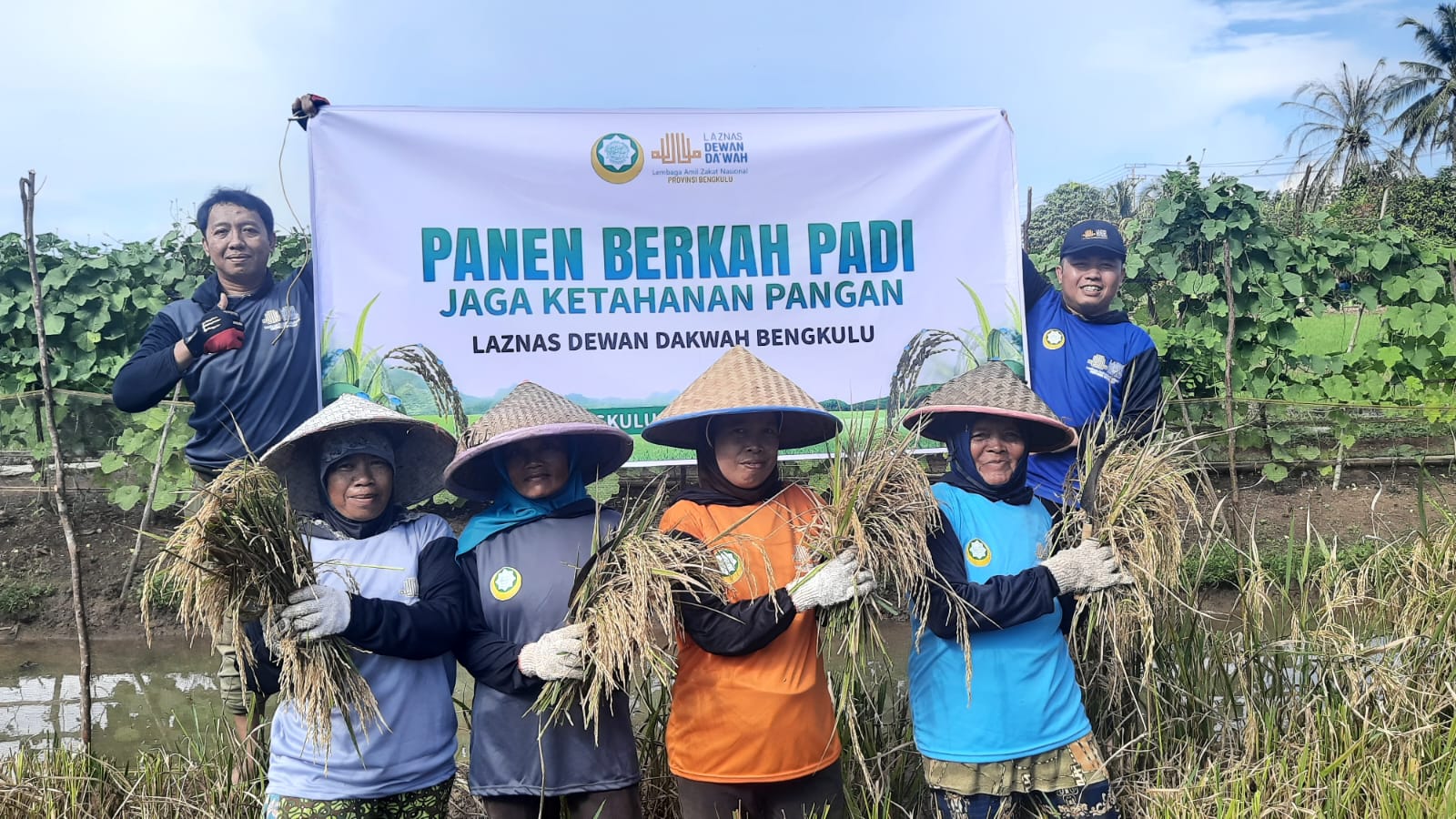 Wujudkan Ketahanan Pangan, Laznas Dewan Dakwah Bengkulu Panen Padi Bersama Mustahik